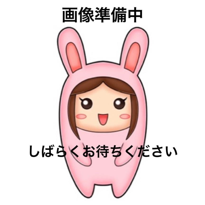 にゃんこのハンバーガー屋さん 全6種セット ターリン : ミックストイ