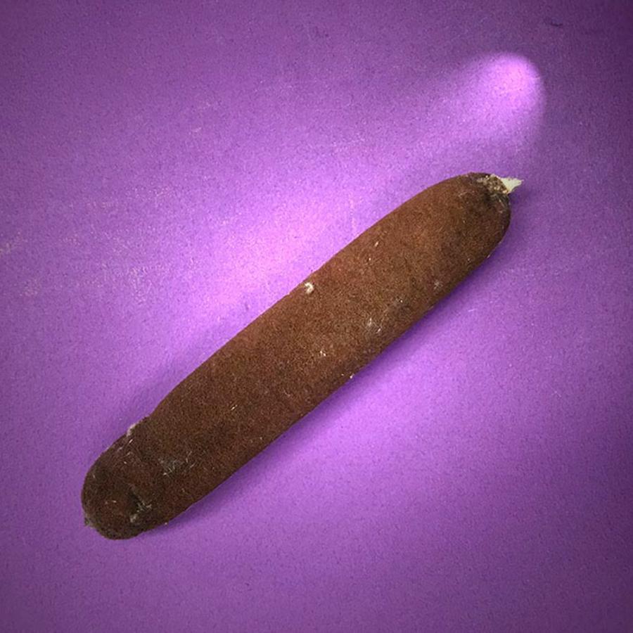 野宿の匠 火口 ホクチ ほくち 着火剤 蒲の穂 Y Cpt Y 火起こし 焚火 野営のミックス 通販 Yahoo ショッピング