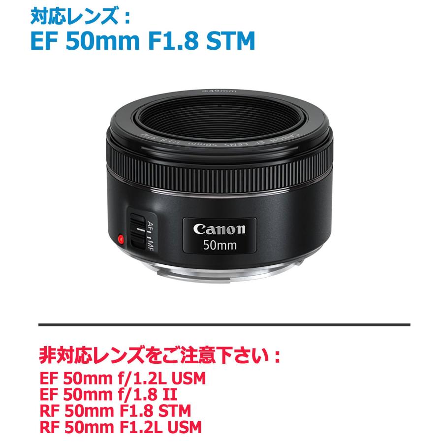 カメラ Canon EF 50mm f/1.8 STM レンズ レンズフィルター セット