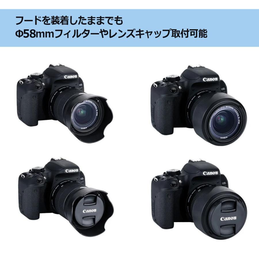 Canon RF24-50mm F4.5-6.3 IS STM各種フィルター付き