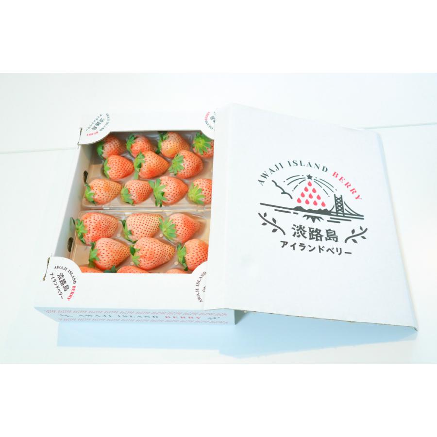 送料無料 淡路島産 淡雪 250g 2パック フルーツギフト 贈り物 身内へのギフト 出産祝い 引越し祝い 高級いちご ひな祭り ホワイトデー 入学 祝い 母の日 Fg0006 Miyabi 通販 Yahoo ショッピング