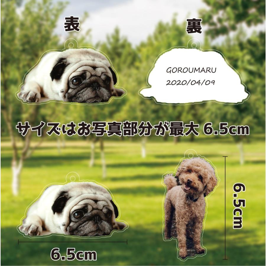 ペット 写真 フォトキーホルダー 孫の日 メモリアルグッズ 犬 猫 アクリル 記念品 プレゼント オーダー お孫さんのお写真でも ストラップ ギフト Ac08 Miyabi Store 通販 Yahoo ショッピング
