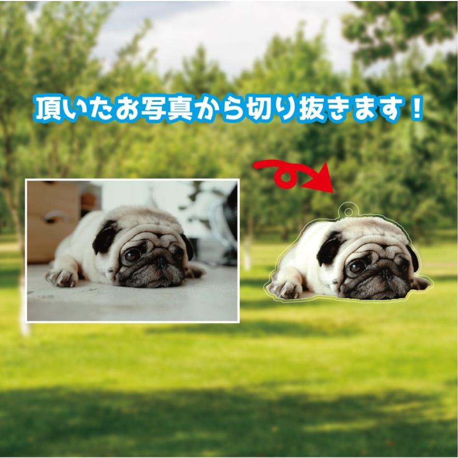 ペット 写真 フォトキーホルダー メモリアルグッズ 犬 猫 アクリル 記念品 プレゼント オーダー お孫さんのお写真でも ストラップ ギフト  :ac08:Miyabi Store - 通販 - Yahoo!ショッピング