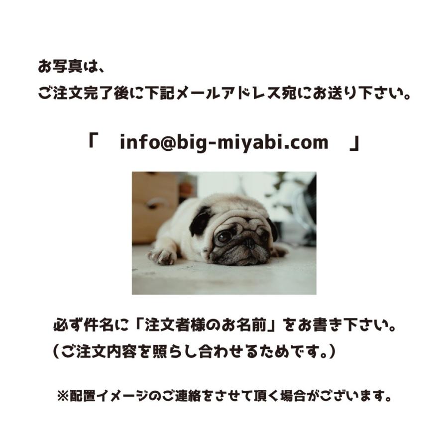 ペット 写真 フォトキーホルダー 孫の日 メモリアルグッズ 犬 猫 アクリル 記念品 プレゼント オーダー お孫さんのお写真でも ストラップ ギフト Ac08 Miyabi Store 通販 Yahoo ショッピング