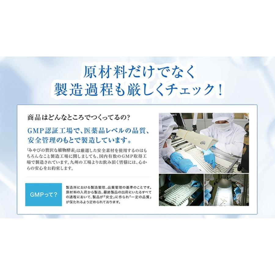 送料無料 生酵素 みやびの贅沢な植物酵素100 3袋セット 高麗人参