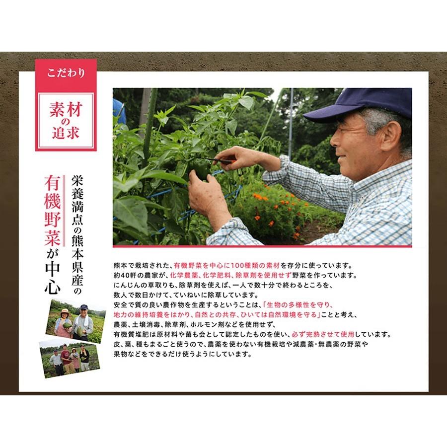 送料無料 生酵素 みやびの贅沢な植物酵素100 3袋セット 高麗人参