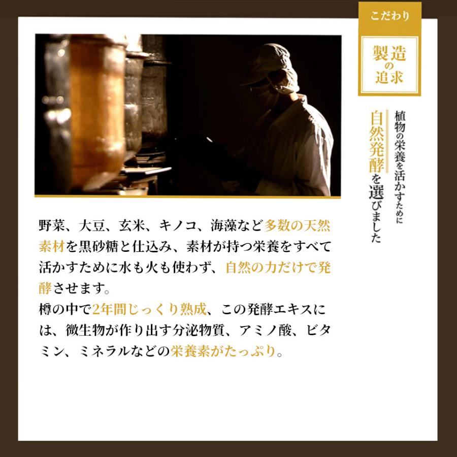 生酵素 みやびの贅沢な植物酵素100 高麗人参 ヒハツ 乳酸菌 ペースト
