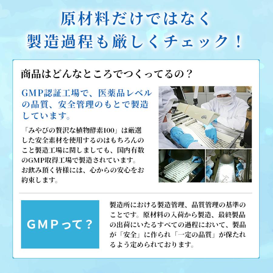 生酵素 みやびの贅沢な植物酵素100 高麗人参 ヒハツ 乳酸菌 ペースト