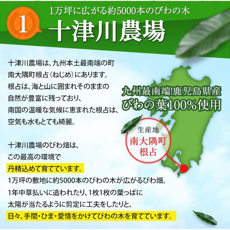 ねじめびわ茶 十津川農場 2g×200包 ティーバッグ 国産 ノンカフェイン