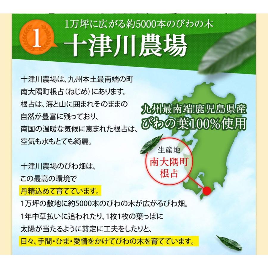 ねじめびわ茶 十津川農場 2g×31包 国産 ノンカフェイン 健康茶 無香料 無着色 枇杷｜miyabi-store｜06