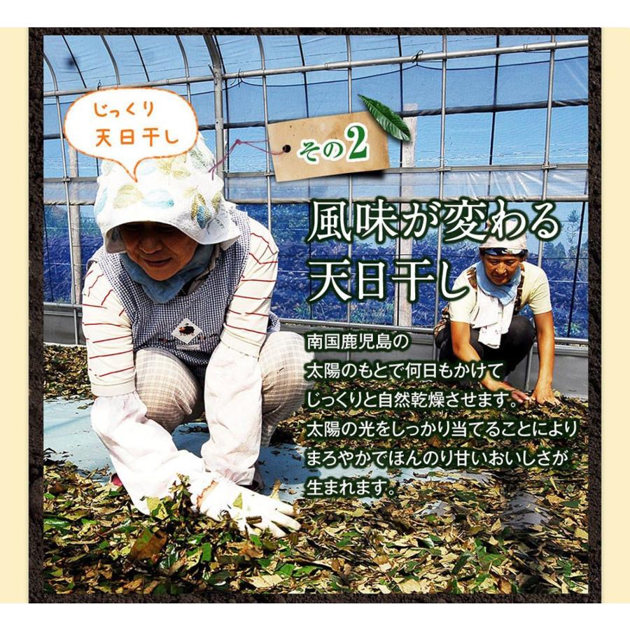 ねじめびわ茶 十津川農場 2g×31包 国産 ノンカフェイン 健康茶 無香料 無着色 枇杷｜miyabi-store｜09