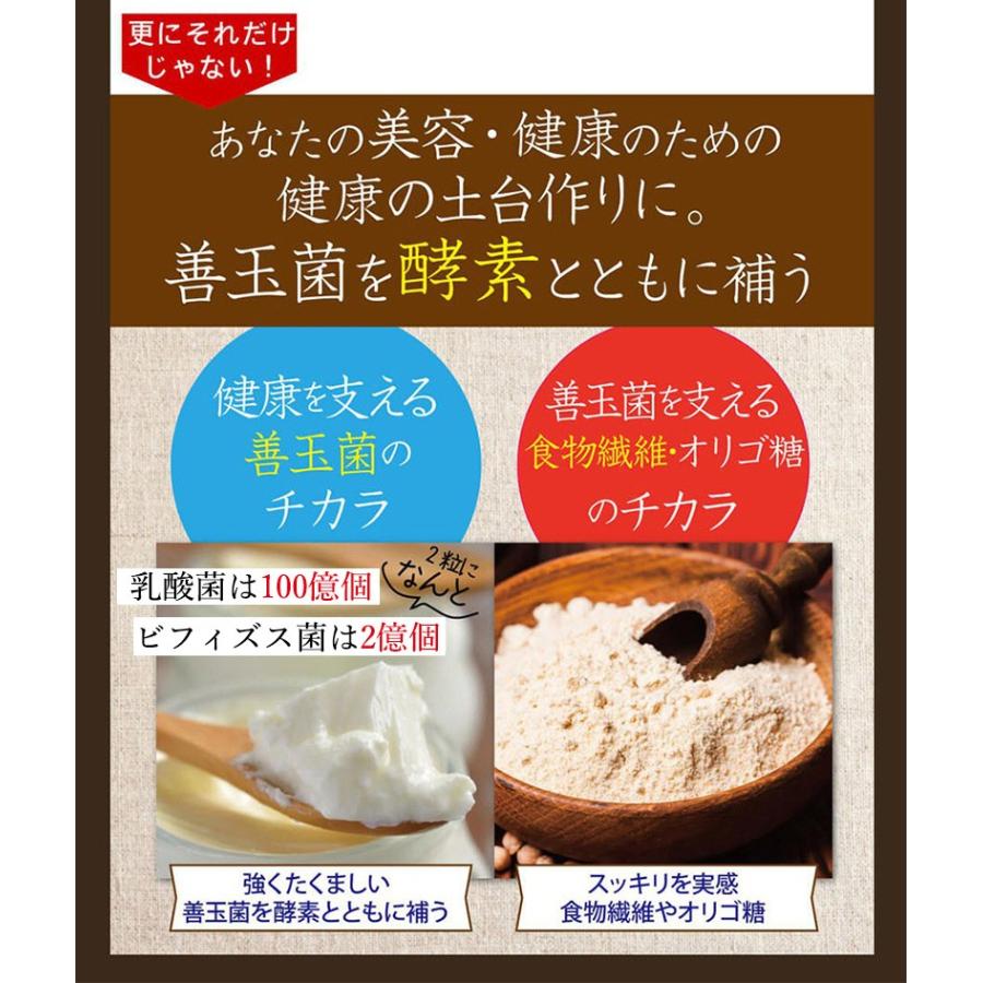 酵素サプリメント みやびの植物酵素サプリ100 メール便なら送料330円 S0001 みやびオンラインストア Yahoo 店 通販 Yahoo ショッピング