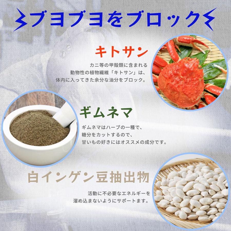 カプサイシン サプリ マキシマムキトサンホット Lカルニチン ギムネマ