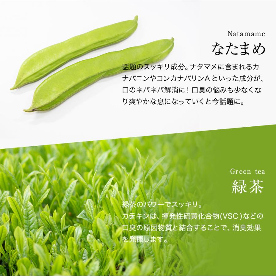 口臭サプリ さわやかサプリ 300mg×90粒 シャンピニオン 渋柿エキス