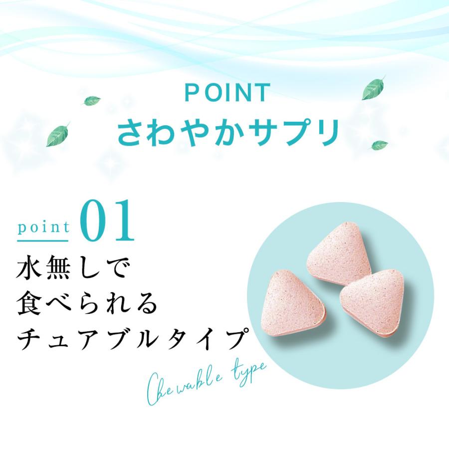 口臭サプリ さわやかサプリ 300mg×90粒 シャンピニオン 渋柿エキス
