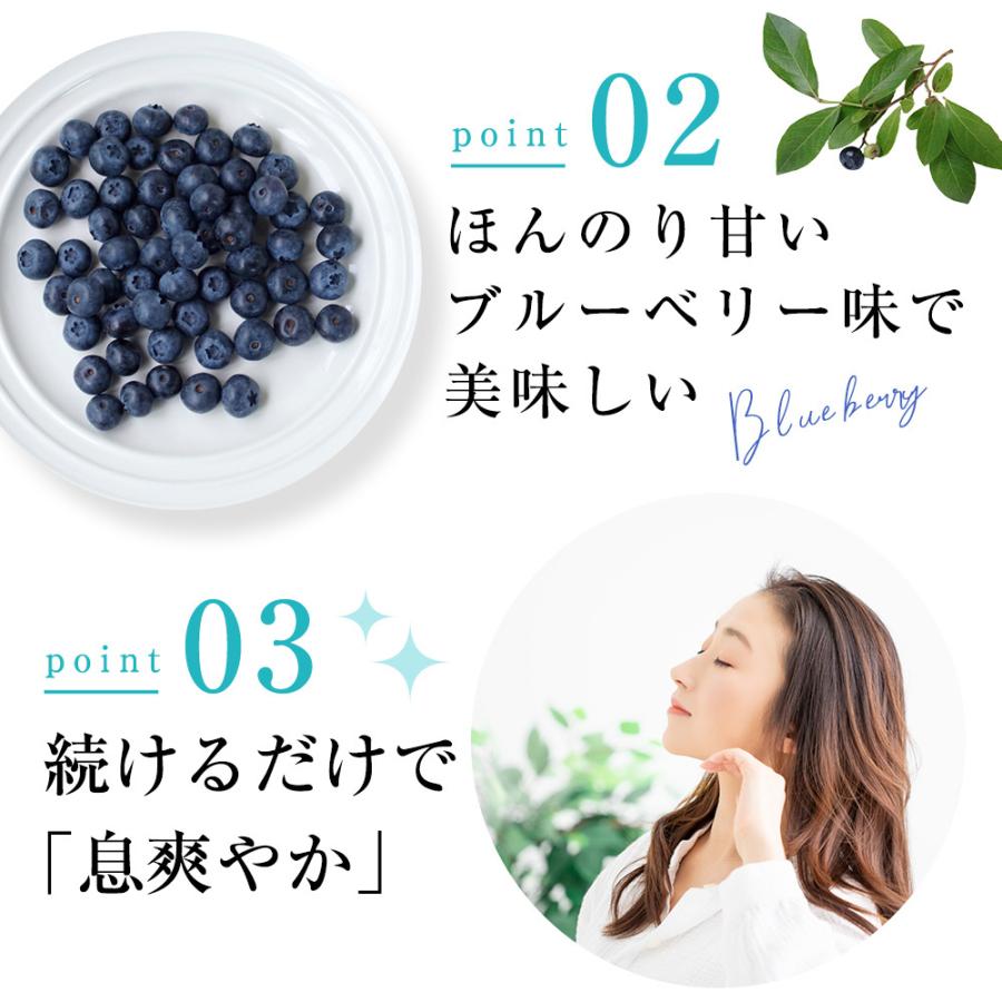 口臭サプリ さわやかサプリ 300mg×90粒 シャンピニオン 渋柿エキス