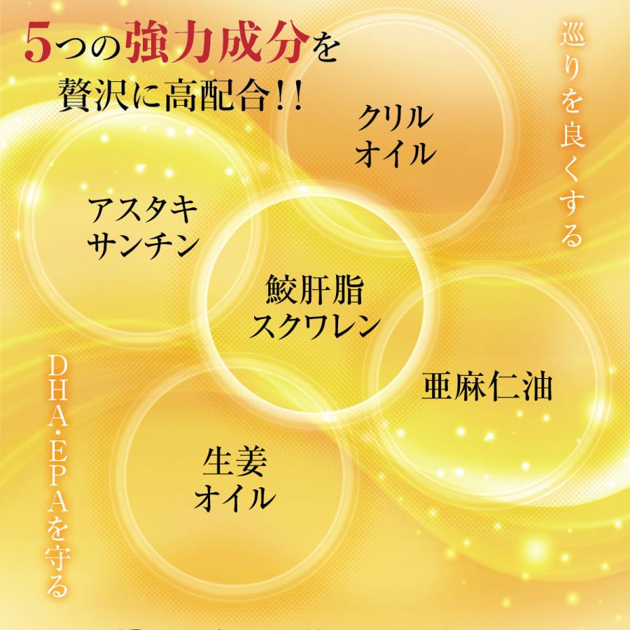 ポイント5倍＋送料無料 オメガ3 サプリ DHA＆EPA オメガプラス 5袋セット 約5ヶ月分 青魚 サラサラ成分 魚油 サプリメント dha epa αリノレン酸 コレステロールの画像