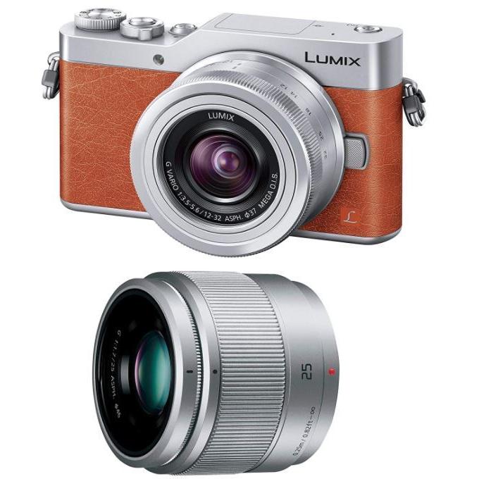 感謝の声続々！ パナソニック ルミックス Panasonic LUMIX GF9 ダブル