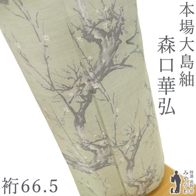 本場大島紬 着物 正絹 7マルキ カタス式 人間国宝 森口華弘 薄白緑 梅
