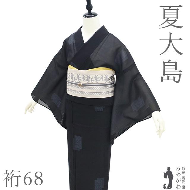 未使用近い　美品　化繊　紗紬風　訪問着　フルセット　5点　身丈163 裄丈69 夏物 夏大島 着物 未使用 正絹 越後 単衣 紗紬 黒 色紙重ね文