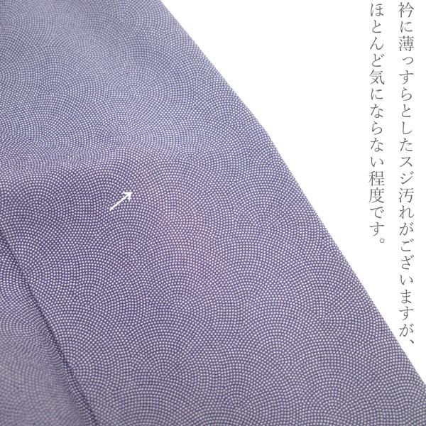 ​裄67 身丈158 夏着物 鮫小紋 絽 朱鷺色 薄紅梅 江戸小紋 やや幅広 江戸小紋 着物 鮫 リサイクル 正絹 袷 紫 セミフォーマル