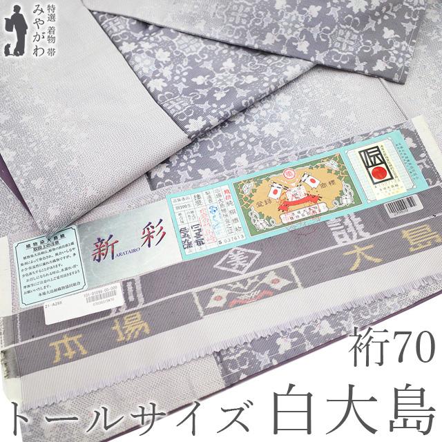 大島紬 白大島 着物 本場大島紬 未使用 正絹 袷 横双 白グレー 華文 花