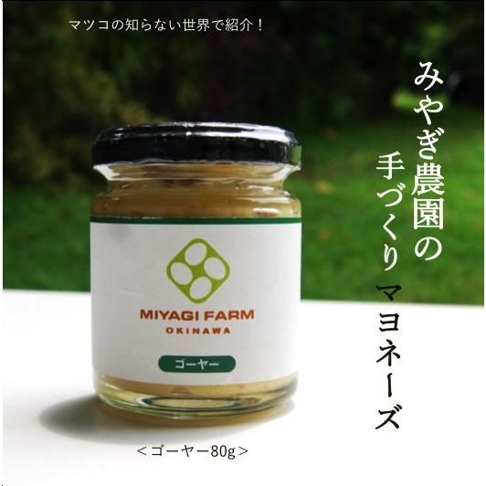 マヨネーズ (ゴーヤー) 80g 朝どれ 自然 平飼い卵 使用 養鶏農家 手作り 無添加｜miyaginouen