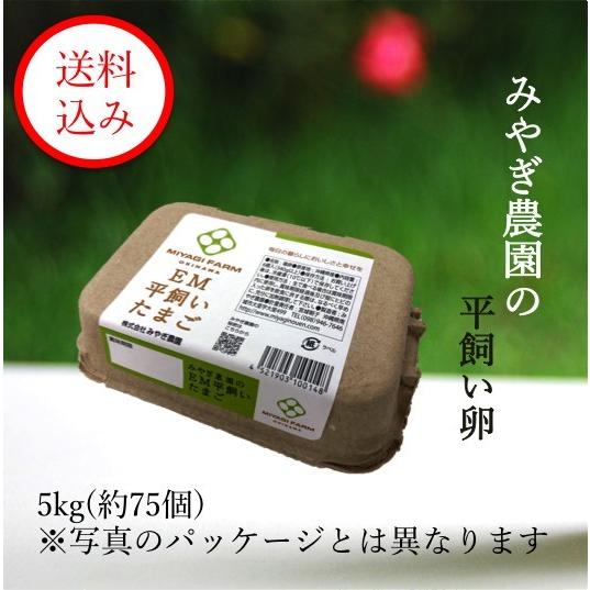 みやぎ農園の平飼い卵 (5kg※約80個) : みやぎ農園 - 通販 - Yahoo