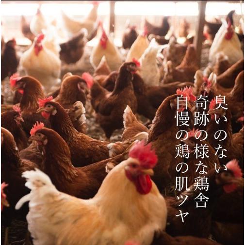 みやぎ農園の平飼い卵　(5kg※約80個)