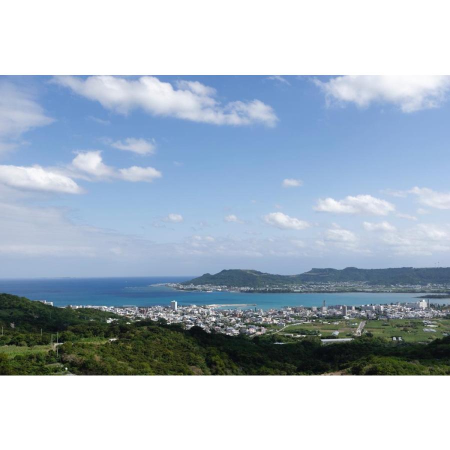 黒糖スパイシージンジャーシロップ |  | 06