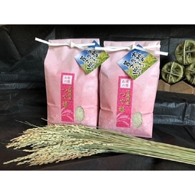 つや姫 4.5㎏ 2袋セット 宮城産 令和7年産 米 つや姫精米4kg（2kg×2袋）セット 令和7年度 宮城県産