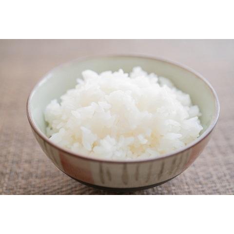 米 つや姫精米4kg（2kg×2袋）セット 令和7年度 宮城県産