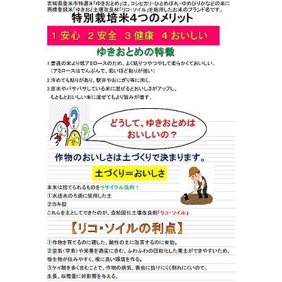 米 つや姫 一等米 玄米 ３０ｋｇ  令和５年度米 こだわりの登米産 宮城県北産　｜miyagiokomeshop｜02