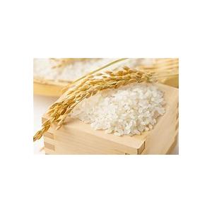 新米 だて正夢 一等 精白米20kg（5kg×4袋）令和6年度 宮城県北産  