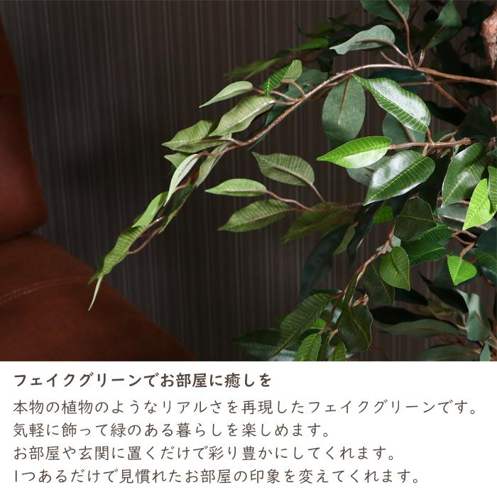 人工観葉植物 フェイクグリーン 大型 フィカス 7号鉢｜miyaguchi｜02