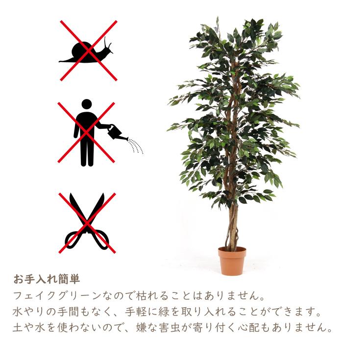 人工観葉植物 フェイクグリーン 大型 フィカス 7号鉢｜miyaguchi｜03
