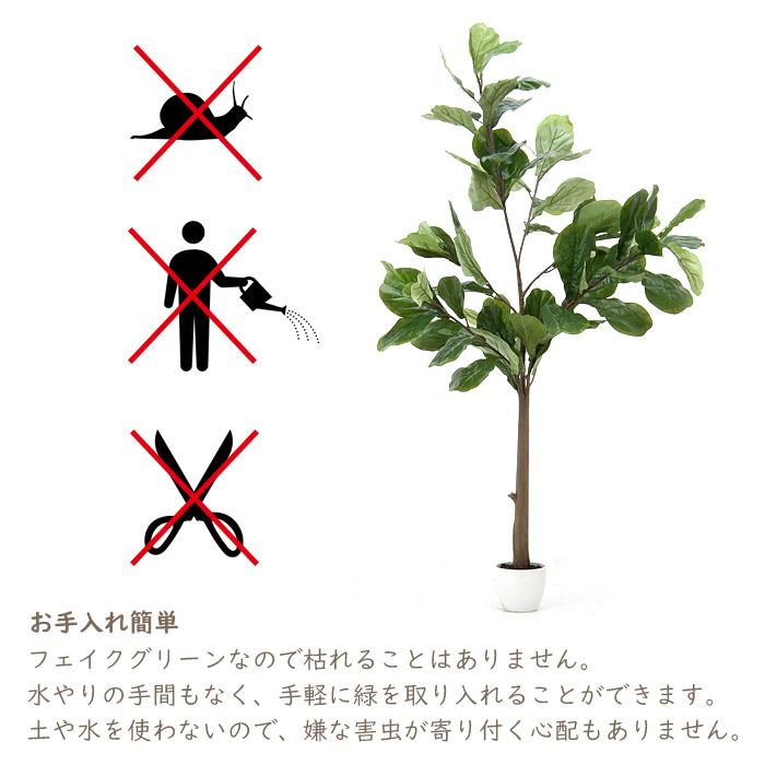 人工観葉植物 フェイクグリーン 大型 フィカス カシワバゴムノキ｜miyaguchi｜03