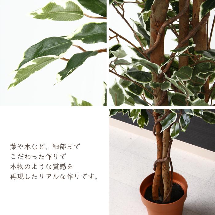 人工観葉植物 フェイクグリーン フィカス 大型 7号鉢｜miyaguchi｜04