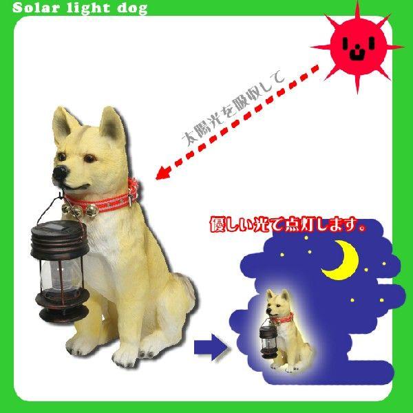 ソーラーライト 柴犬ポチ 太陽光 エクステリア 玄関灯 犬型 エントランス Nag 3222 あなたのほしいインテリアのお店 通販 Yahoo ショッピング