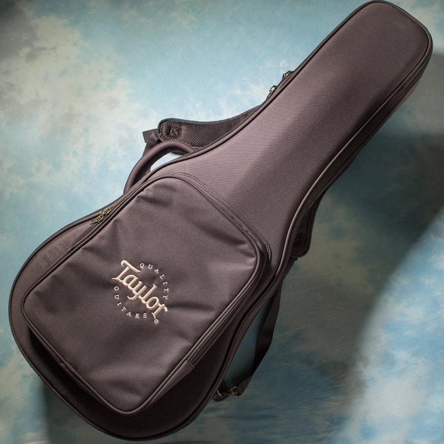 Taylor/GS Mini-e Koa Plus : 宮地楽器 ららぽーと立川立飛店 - 通販