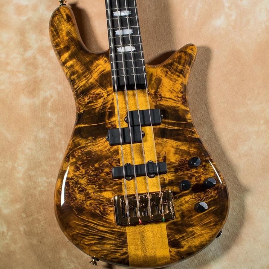 Spector/Limited Euro4LT (Poplar Burl Top / Tiger Eye / Gloss) 限定モデル｜miyaji-onlineshop