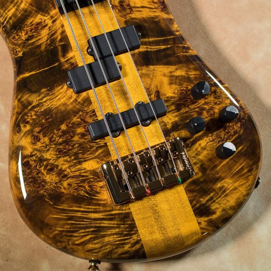 Spector/Limited Euro4LT (Poplar Burl Top / Tiger Eye / Gloss) 限定モデル｜miyaji-onlineshop｜03