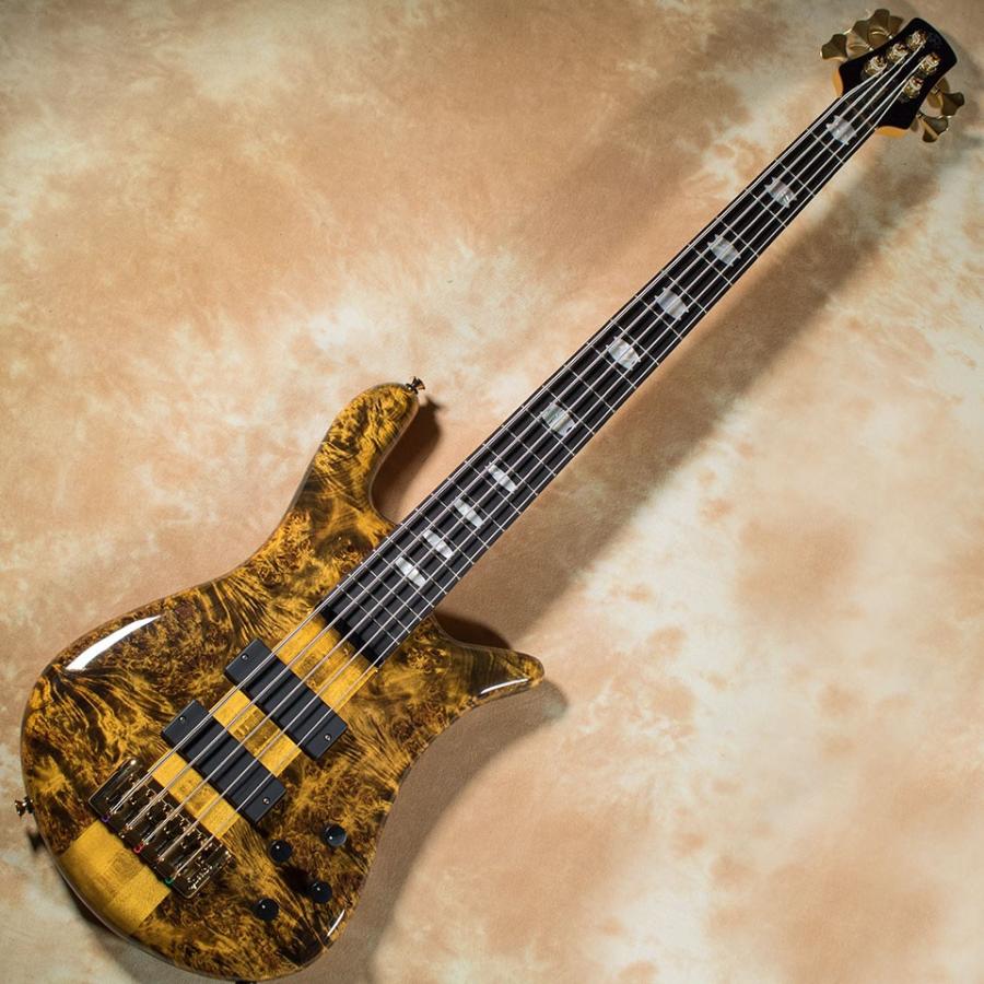 Spector/Limited Euro5LT (Poplar Burl Top / Tiger Eye / Gloss) 限定モデル｜miyaji-onlineshop｜02