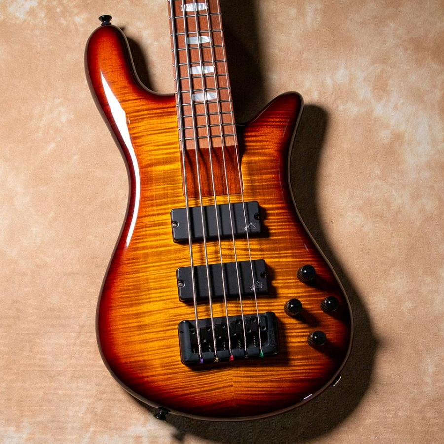 Spector/EURO BOLT 5 Tobacco Sunburst 展示品特価｜miyaji-onlineshop｜02