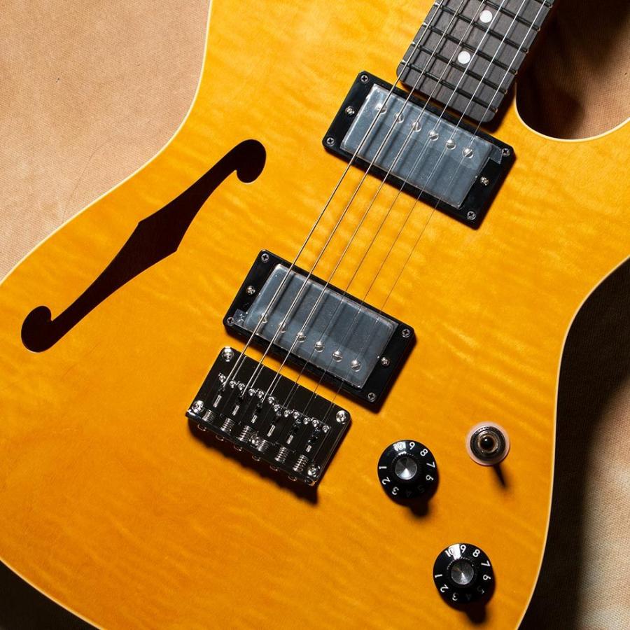 ギター k.nyui custom guitars knte gold back K.Nyui Custom Guitars KNTE / Biedseye Maple / W.Blonde