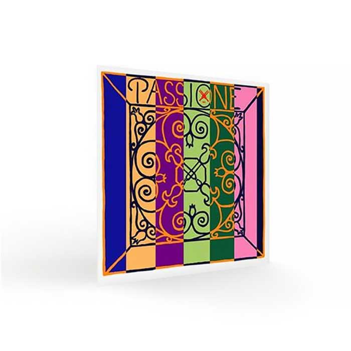 ヴァイオリン弦 PASSIONE（パッシオーネ） D線【メール便対応】 : 宮地