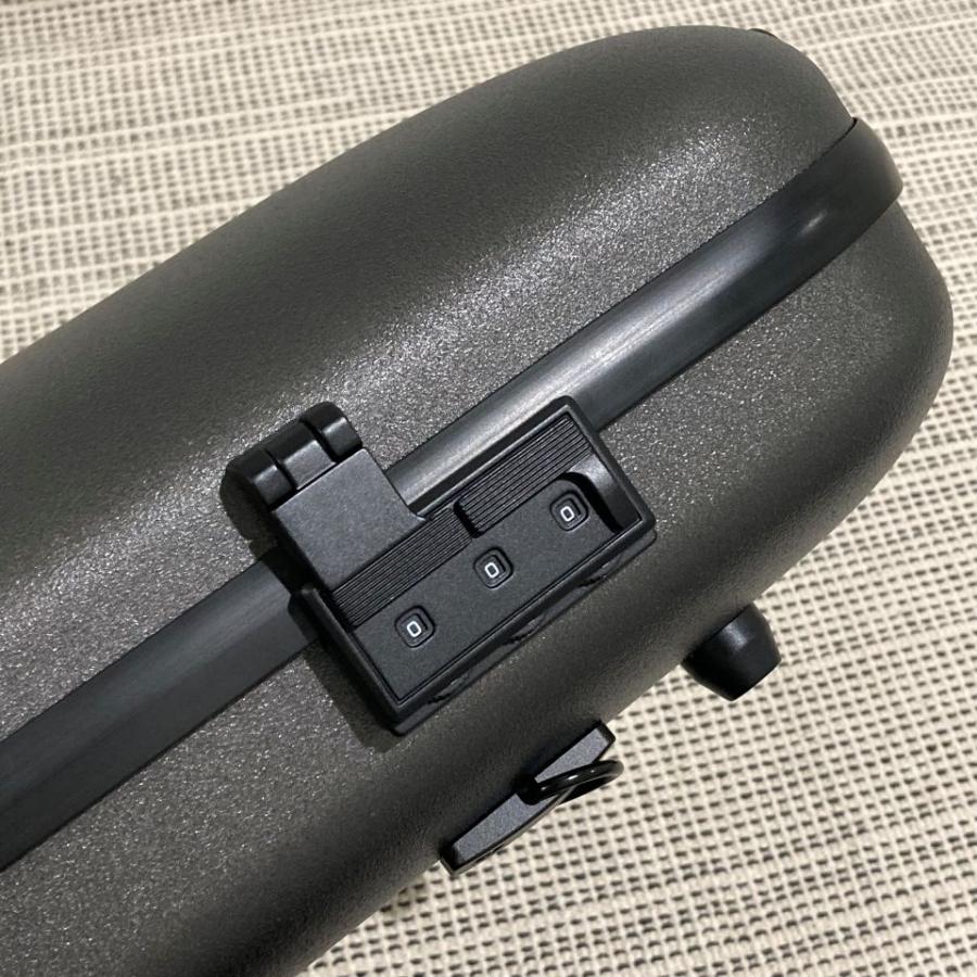 ライオン オブロング ヴァイオリンカーボンケース プロ ツートン チャコールグレー LION Proの画像