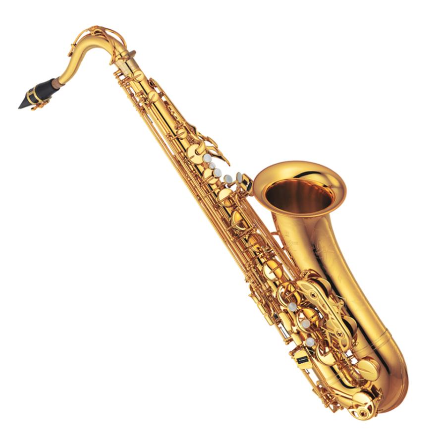 在庫有り ヤマハ テナーサックス YTS-875EX YAMAHA 管楽器 : tw02 