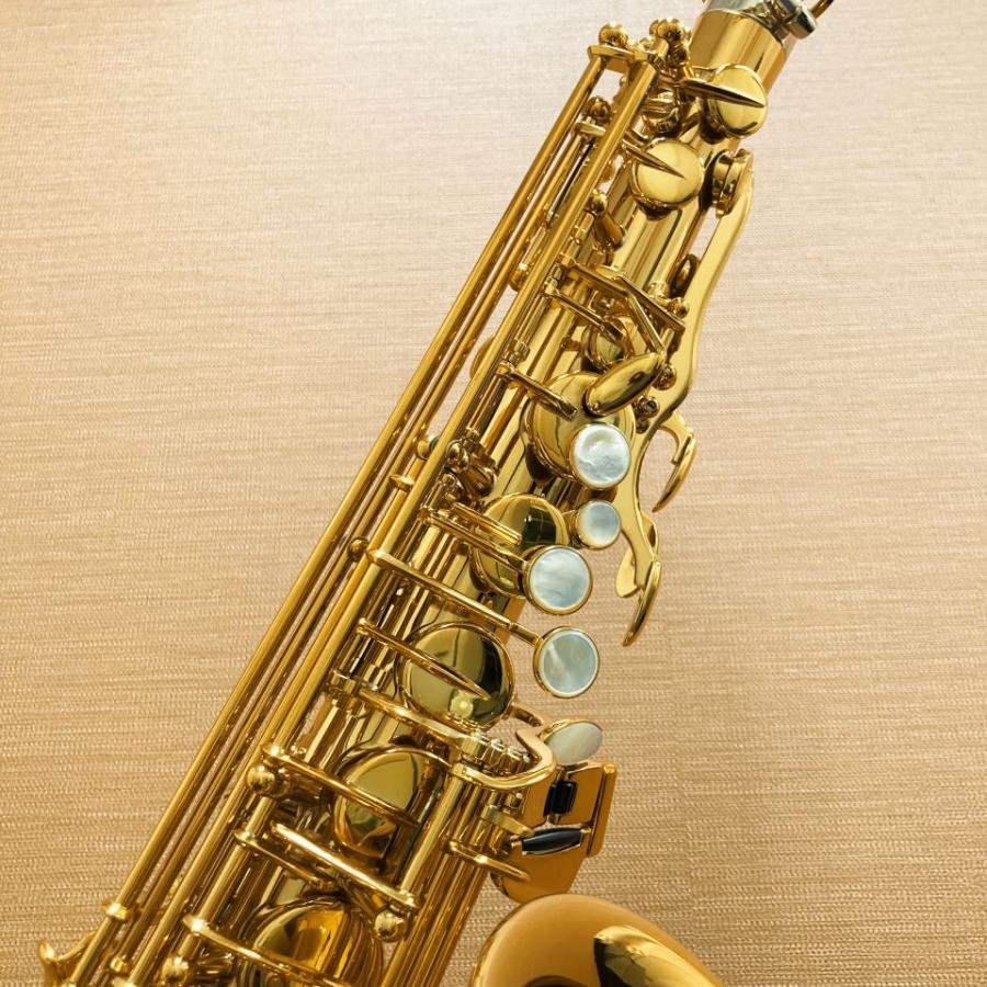 在庫有り セルマー アルトサックス Signature ダーク 在庫有り セルマー アルトサックス Signature ダーク