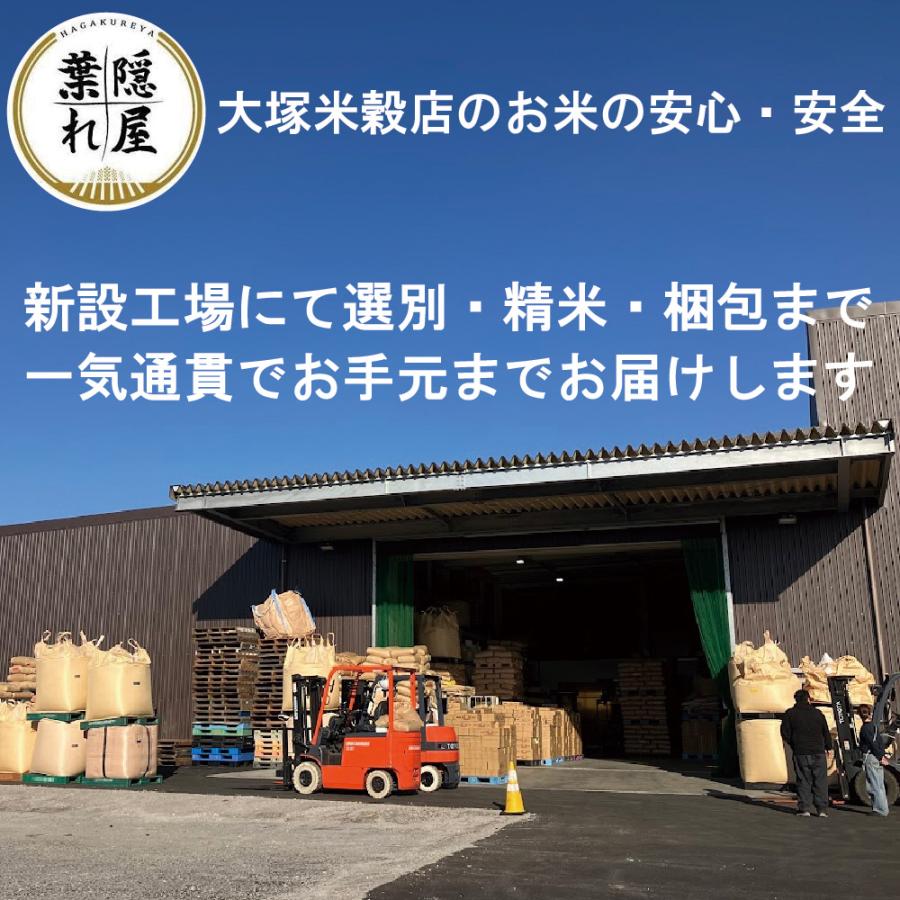 ブレンド米 白米 10kg 九州産 (5kg×2袋) 生活応援米 送料無料 安い お